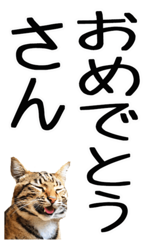 762435608