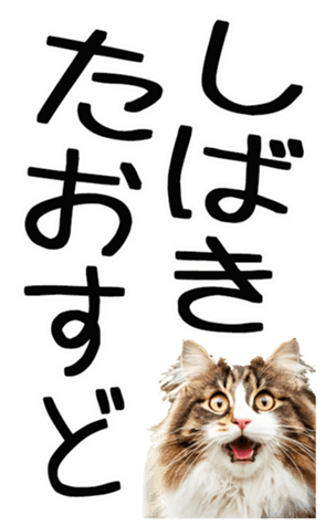 762435611