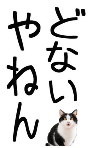762435613