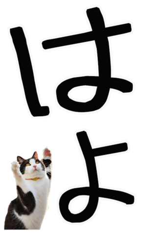 762435618