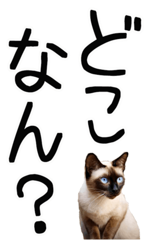762435620