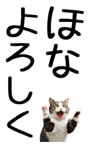 762435623