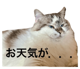 762438332
