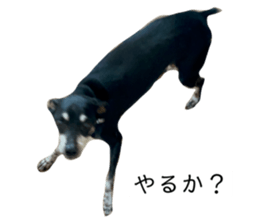 762439205