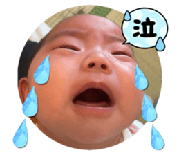 762440028
