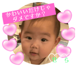 762440031
