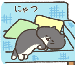 762441796