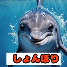 762441931