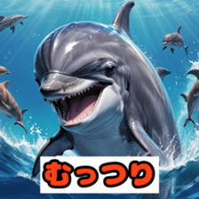 762441954