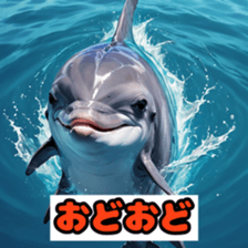 762441956