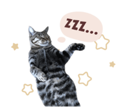 762442326