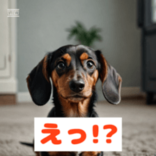 762442370