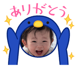 762443805