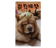 762444528
