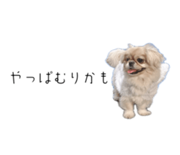 762445471