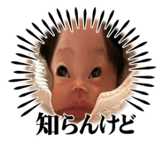762445776