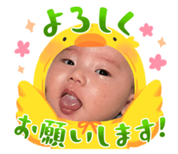 762446445
