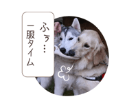 762450717