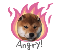 762453269