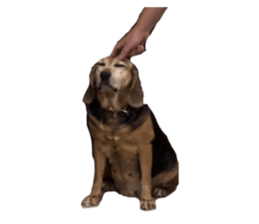 762455238