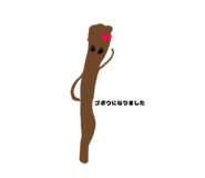 762456036