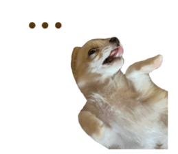 762456479