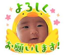 762456501