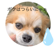762457357