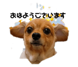 762464444