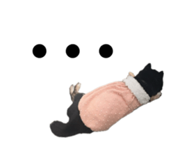 762464753