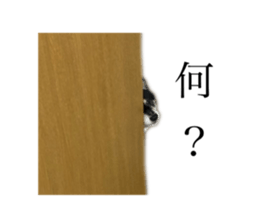 762464754