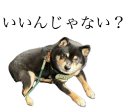 762464757