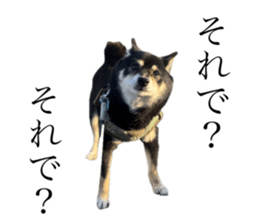 762464760
