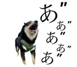 762464766