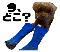 762465664