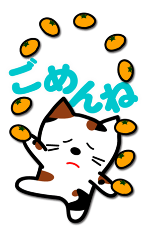 762466253