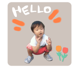 762473251