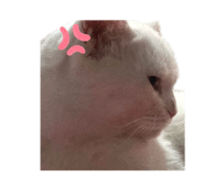 762473745