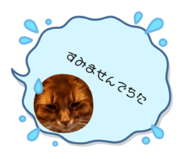 762474921