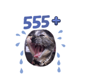 762474960