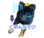 762480608