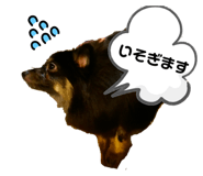 762480616