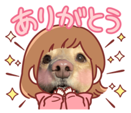 762480787