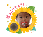 762488917