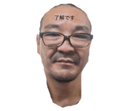 762488981