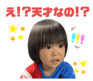 762494901