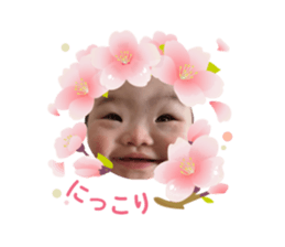 762501306