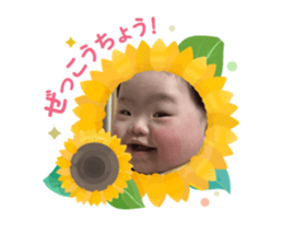 762501309