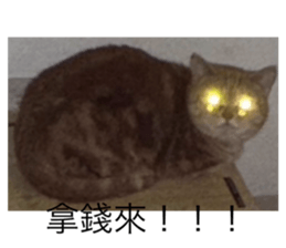 762501862