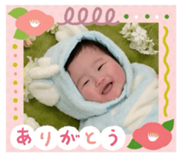 762520234